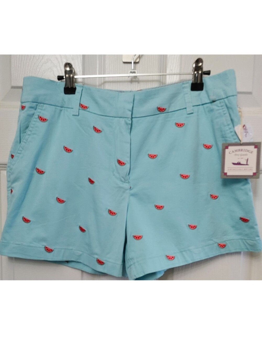 Watermelon Embroidered Shorts Sz 8